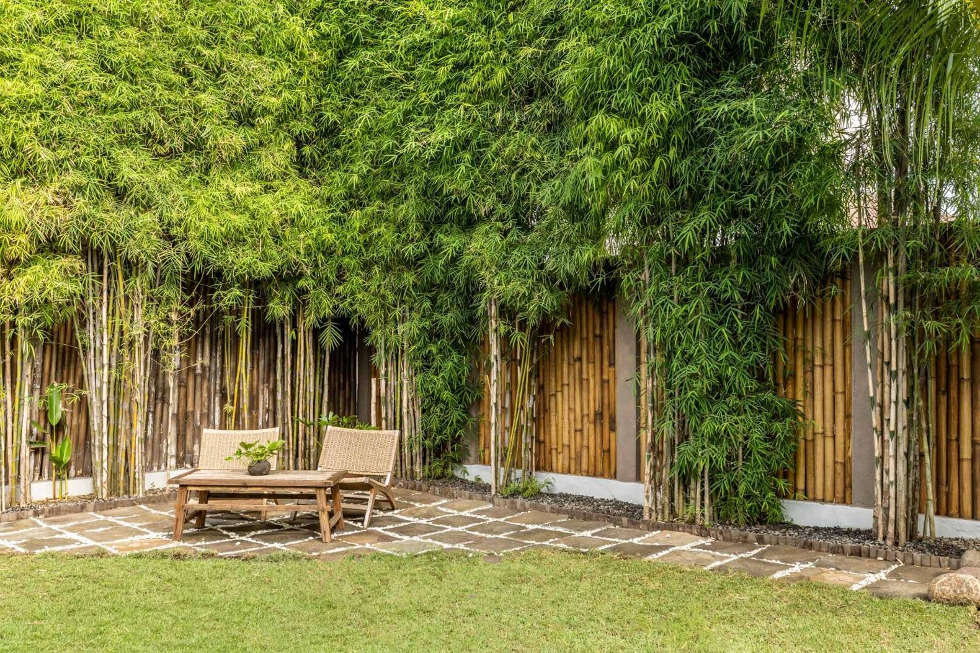 Rimba Villas Gili Air Room photo